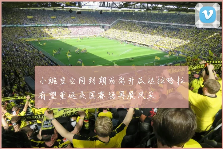 小豌豆合同到期或离开瓜达拉哈拉有望重返美国赛场再展风采
