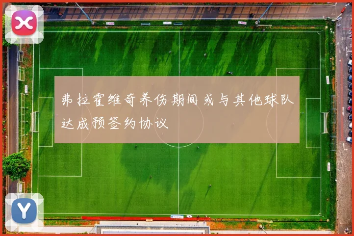 弗拉霍维奇养伤期间或与其他球队达成预签约协议