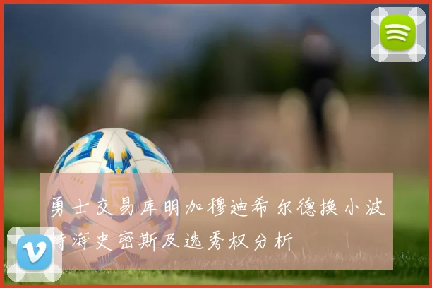 勇士交易库明加穆迪希尔德换小波特海史密斯及选秀权分析